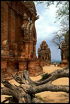 Among the Cham towers of Po Klong Garai. Vietnam (color)