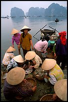 Women gathering around fresh fish catch. Halong Bay, Vietnam (color)