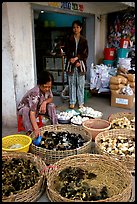 Chicks for sale. Cholon, Ho Chi Minh City, Vietnam