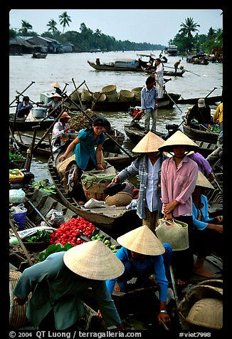 Phung Hiep floating market. Can Tho, Vietnam