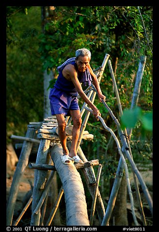 Elderly man not afraid of crossing a bamboo bridge, near Long Xuyen. Vietnam (color)