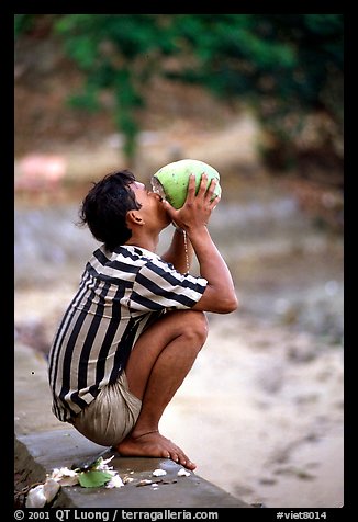 Drinking fresh coconut juice, cheaper than bottled water. Hong Chong Peninsula, Vietnam (color)