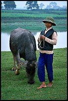 Boy wearing the Boi Doi military hat popular in the North, with water buffalo, near Ninh Binh. Vietnam ( color)