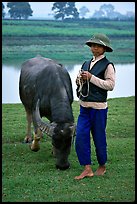 Boy wearing the Boi Doi military hat popular in the North, with water buffalo, near Ninh Binh. Vietnam (color)