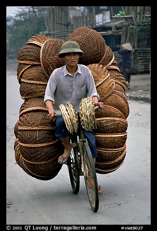 How large a load can you have on  a bicycle ?  On the way to the Perfume Pagoda. Vietnam (color)