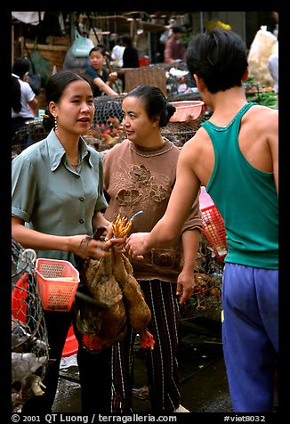 Market scene. Hanoi, Vietnam (color)