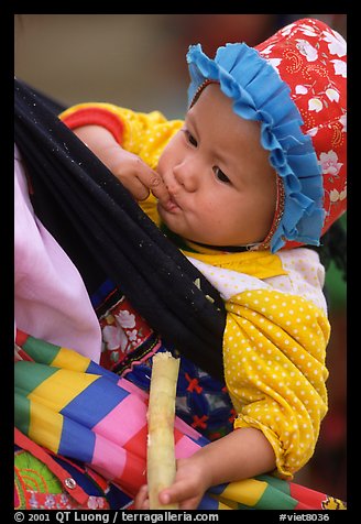 Baby enjoying sugar cane, the natural lollypop,  Bac Ha. Vietnam