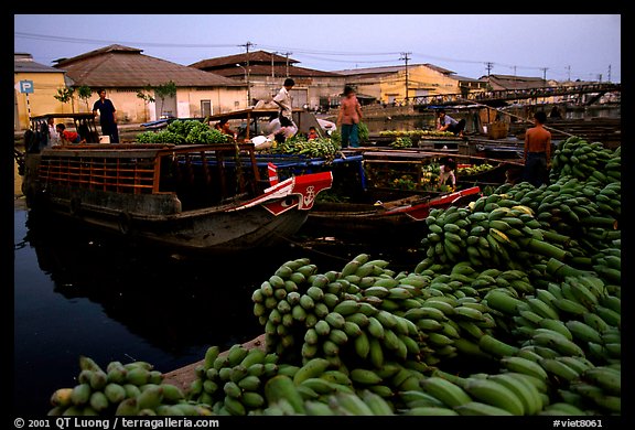 Boats bring loads of produce from the Delta on the Saigon arroyo. Cholon, Ho Chi Minh City, Vietnam (color)