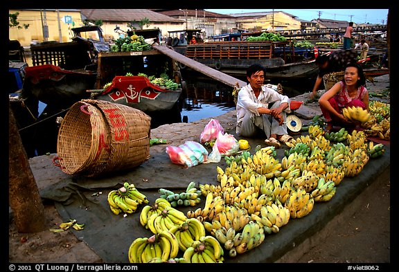 Selling freshly unloaded bananas near the Saigon arroyo. Cholon, Ho Chi Minh City, Vietnam (color)