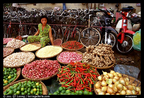 Vegetables and spices. Cholon, Ho Chi Minh City, Vietnam (color)