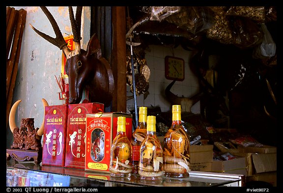 Traditional medicine is still favored by the population. A sample of traditional medicine items. Cholon, Ho Chi Minh City, Vietnam (color)