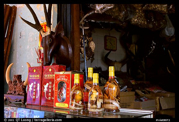 Traditional medicine is still favored by the population. A sample of traditional medicine items. Cholon, Ho Chi Minh City, Vietnam