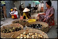 Live chicks for sale. Ho Chi Minh City , Vietnam ( color)