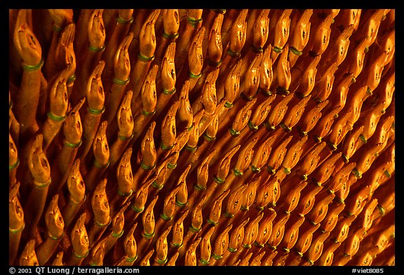 Detail of the thousands hands of a Buddha statue. Ha Tien, Vietnam (color)