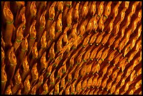Detail of the thousands hands of a Buddha statue. Ha Tien, Vietnam ( color)