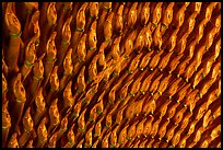 Detail of the thousands hands of a Buddha statue. Ha Tien, Vietnam