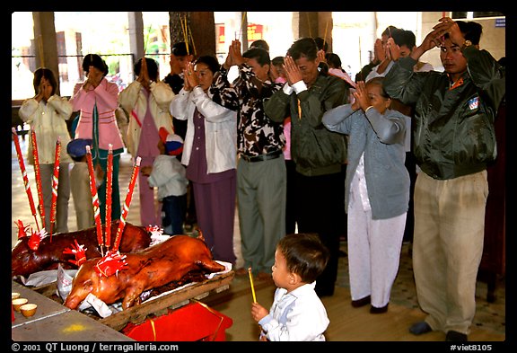 Roasted pigs (rented) offered at Lady Chua Xu temple, a pagan tradition. Chau Doc, Vietnam (color)
