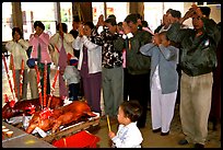 Roasted pigs (rented) offered at Lady Chua Xu temple, a pagan tradition. Chau Doc, Vietnam