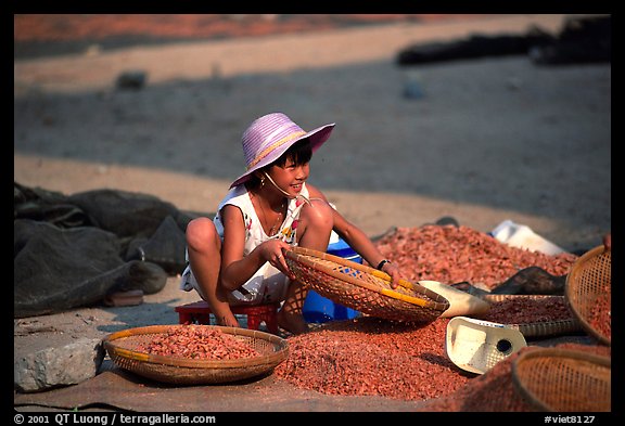 Girl sorting dried shrimp. Ha Tien, Vietnam