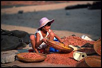 Girl sorting dried shrimp. Ha Tien, Vietnam (color)