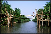 Bamboo bridge (called monkey bridge) near Phung Hiep. Can Tho, Vietnam