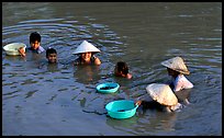 Collecting clams, near Long Xuyen. Mekong Delta, Vietnam