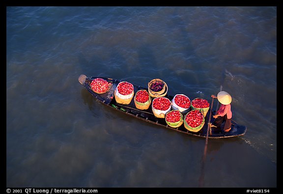Transporting fruit on a small boat. Can Tho, Vietnam (color)