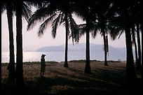 Palm-tree fringed beach, Nha Trang. Vietnam (color)