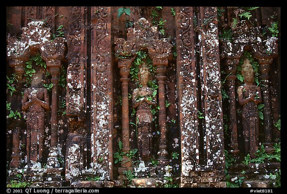 Vegetation invades ruined Cham temple. My Son, Vietnam (color)