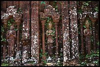 Vegetation invades ruined Cham temple. My Son, Vietnam (color)