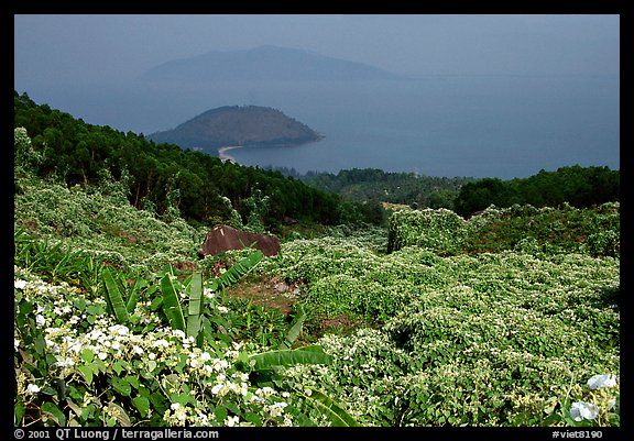 Hai Van (sea of clouds) pass marks the climatic limits of the South, between Da Nang and Hue. Vietnam (color)