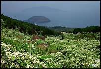 Hai Van (sea of clouds) pass marks the climatic limits of the South, between Da Nang and Hue. Vietnam (color)