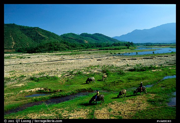 Field close to Lao border, only 50 miles from the coast, Nam Dong. Vietnam (color)