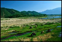 Field close to Lao border, only 50 miles from the coast, Nam Dong. Vietnam