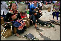 Pigs ready to be carried away for sale, sunday market. Bac Ha, Vietnam (color)