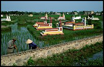 Catholic tombs set in rice field. Ninh Binh,  Vietnam