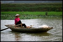 The local technique of paddling with feet, Ken Ga canal. Ninh Binh,  Vietnam ( color)