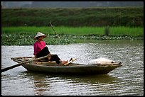 The local technique of paddling with feet, Ken Ga canal. Ninh Binh,  Vietnam