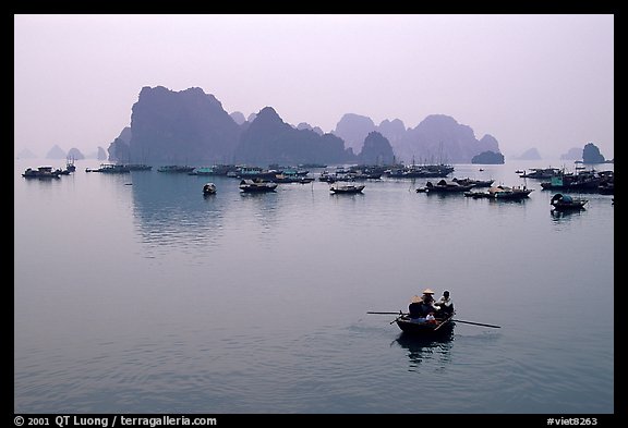 Fishing boat fleet. Halong Bay, Vietnam (color)