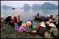 Fresh catch. Halong Bay, Vietnam (color)