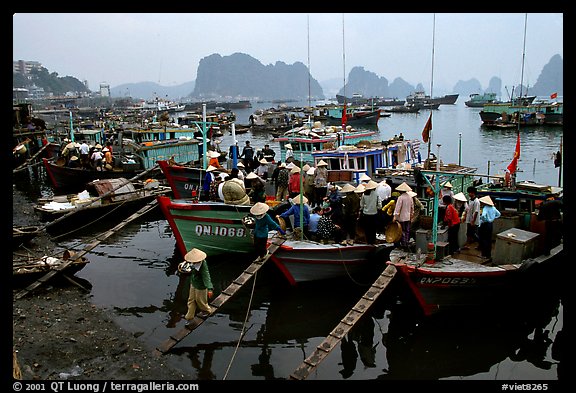 Harbor in Hong Gai. Halong Bay, Vietnam (color)
