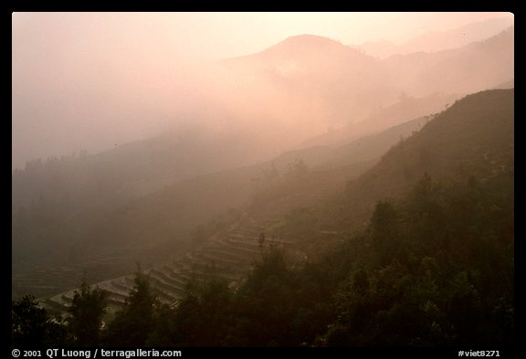 Morning fog on terraced rice fields. Sapa, Vietnam (color)