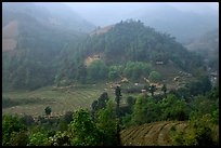 Morning fog on terraced rice fields and village. Sapa, Vietnam