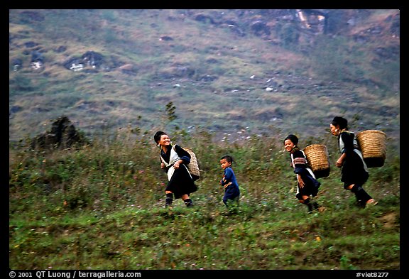 Hmong women back from the fields. The back basket is typically used by mountain tribes. Sapa, Vietnam (color)