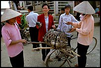 Buying live birds. Sapa, Vietnam