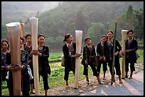 Ethnic minority women carrying banana trunks. Vietnam (color)