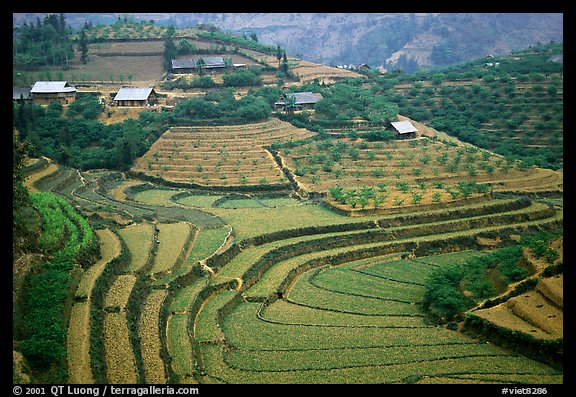 Dry terraced hills and village. Bac Ha, Vietnam (color)