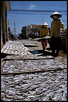 Women carrying a panel of fish being dried. Vung Tau, Vietnam (color)