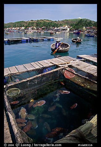 Fish cage in a small village in the Nha Trang bay. Vietnam (color)