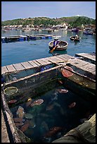 Fish cage in a small village in the Nha Trang bay. Vietnam (color)